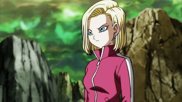 Android-18-Reckoned 