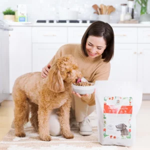 Canine-Digestive-Health
