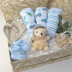 Baby-Boy-Gifts